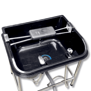 bon vuong nhua chan 2