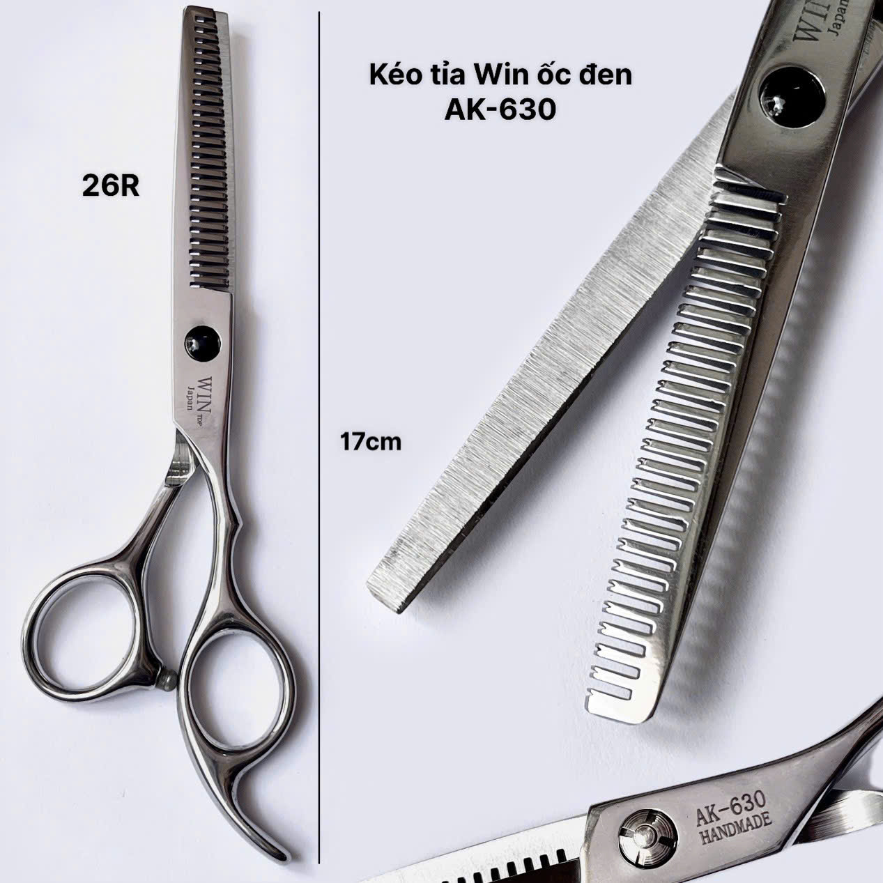 z6539978744930 0842023d29ee953a09aeb2460d4519ae